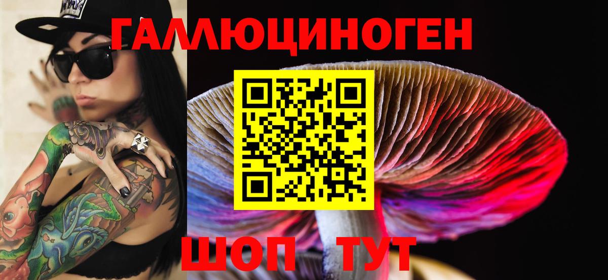 Псилоцибиновые грибы Psilocybe  Галлюциногенные грибы MAGIC MUSHROOMS  Прохладный  Вход с VPN 